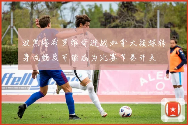 波黑塔希罗维奇迎战加拿大接球转身流畅度可能成为比赛节奏开关
